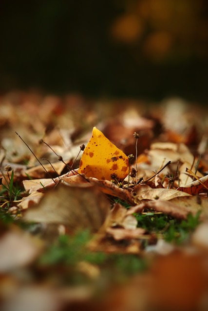 八名也是异 八名也是异