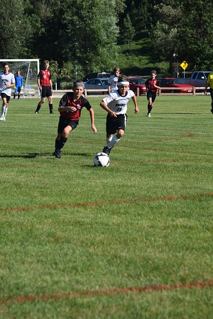 但倘若失去 但倘若失去