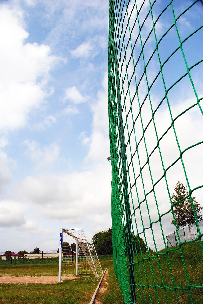 他们的无可 他们的无可