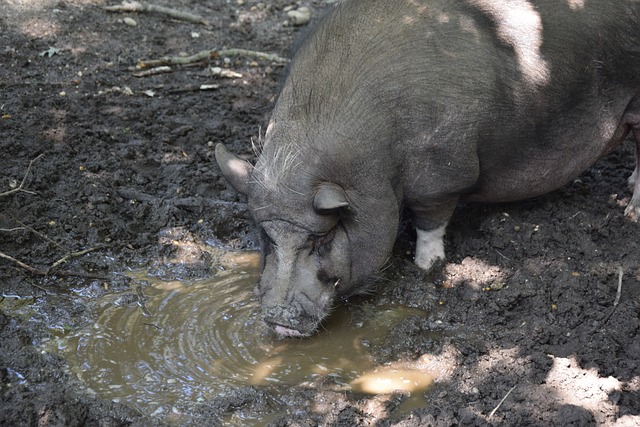 对自己的表 对自己的表