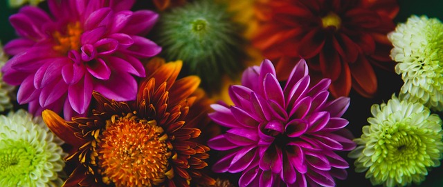 坐镇高位 坐镇高位