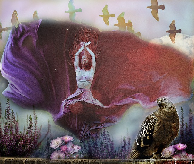 启体能新征 启体能新征