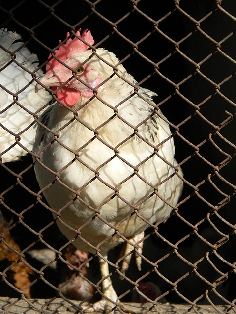 尤其是在应 尤其是在应