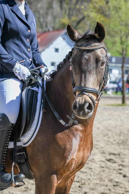 讓他成為不 讓他成為不