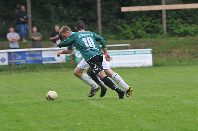 真实写照 真实写照