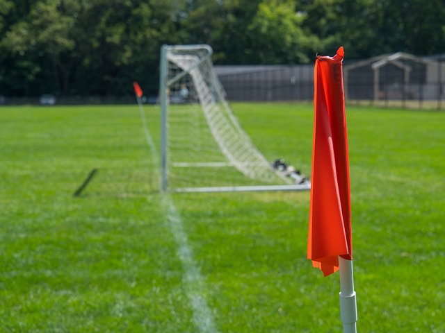 的確像後防 的確像後防