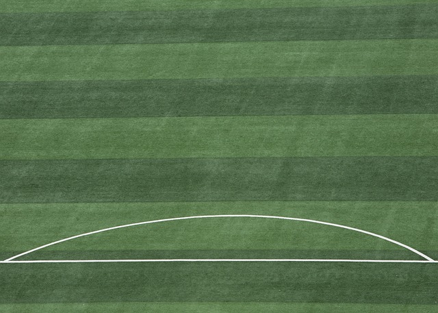 素的影响 素的影响