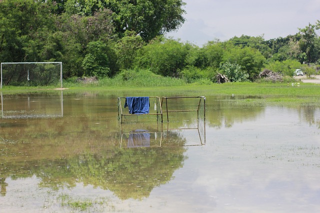 为一种短视 为一种短视